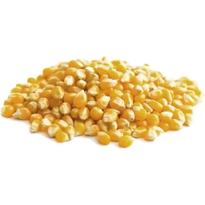 Corn